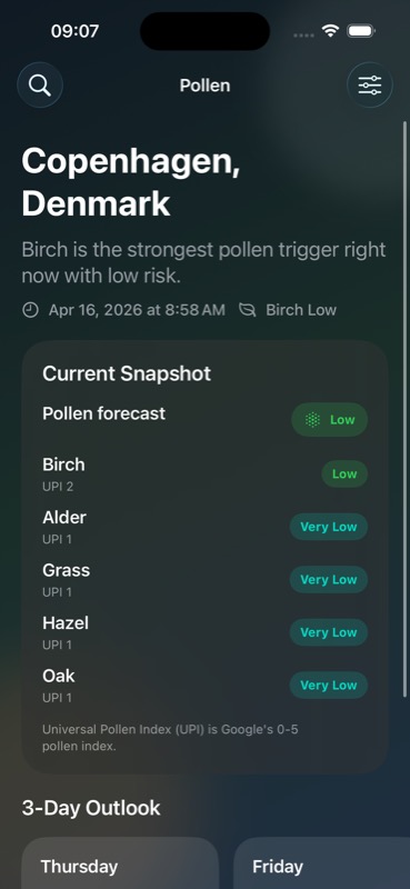 Pollen app dashboard showing the current pollen overview for Copenhagen